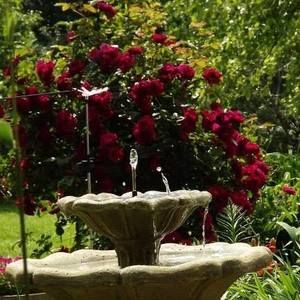 Meet your Posher, Mike-tami